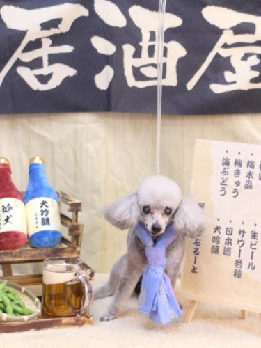 20240605サージュちゃん